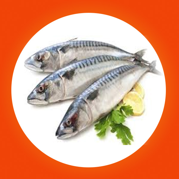 Fish & Sea foods